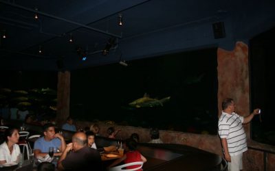 101… Nummer 7 – Sharks Underwater Grill!