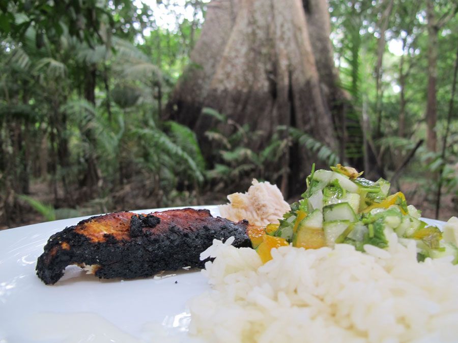 Food-in-the-Amazon