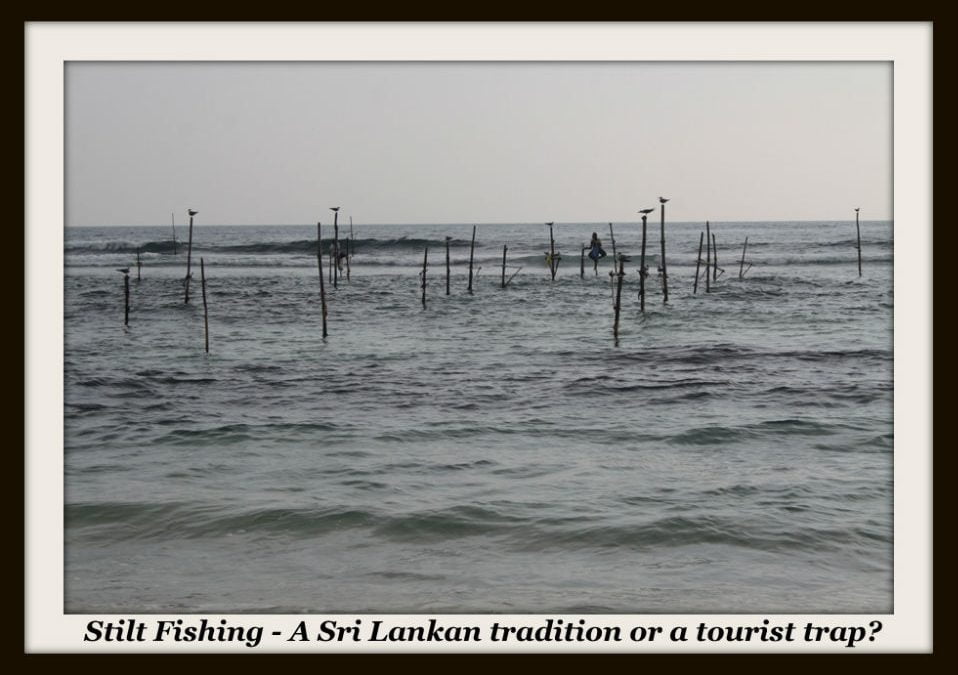 Stilt Fishing – Sri Lanka.