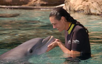 Discovery Cove – Simma med delfiner