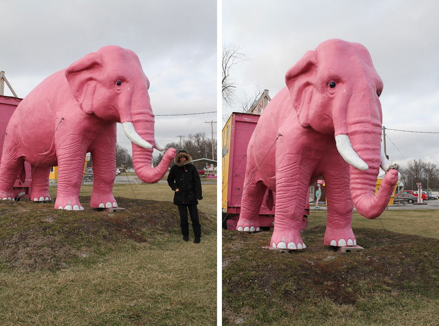 Pink-Elephant-Antiques