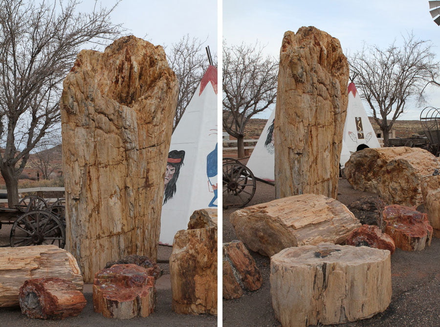 Giants along Route 66: Worlds Largest Petrified Tree