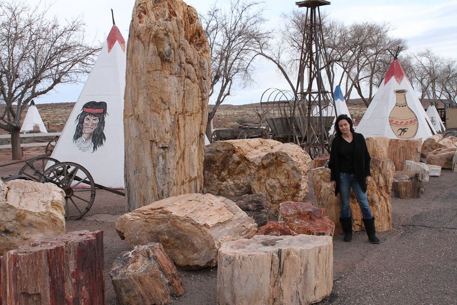 Giants along Route 66: Worlds Largest Petrified Tree