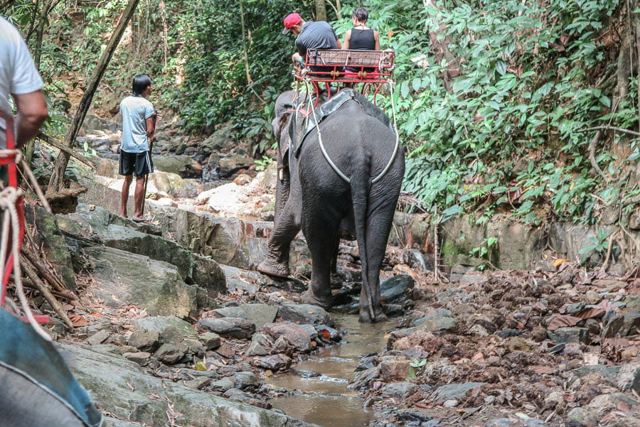 Elephant ride Thailand tourism