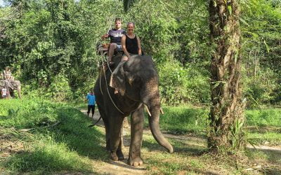 List of documentaries – Animals used in tourism