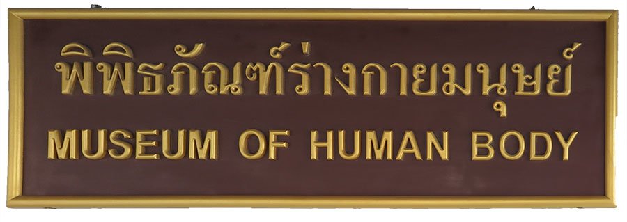 Human body museum Bangkok
