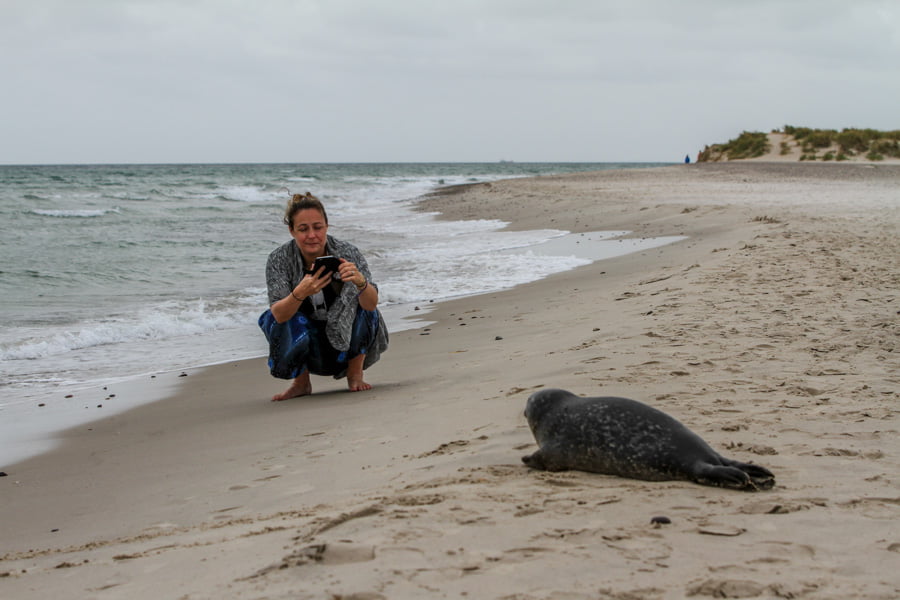 BringBlingToTraveling photo op with Seal at Grenen Denmark