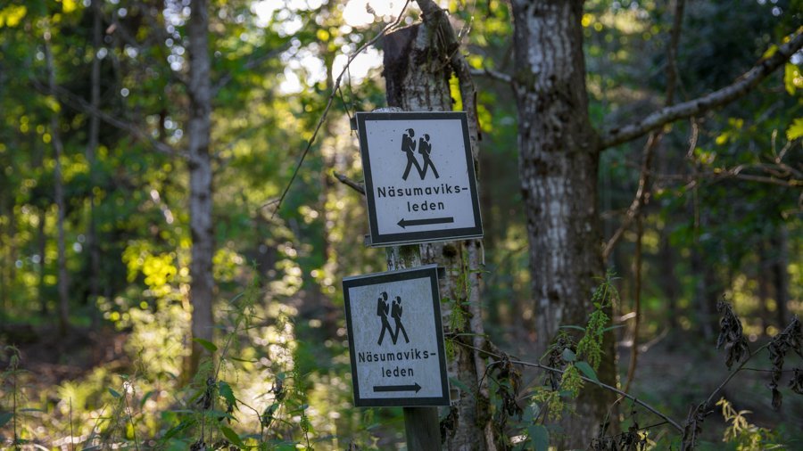 Näsumaviksleden a five star hiking trail