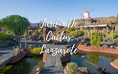Jardin de Cactus – Things to do in Lanzarote