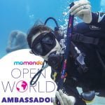 momondo ambassadors