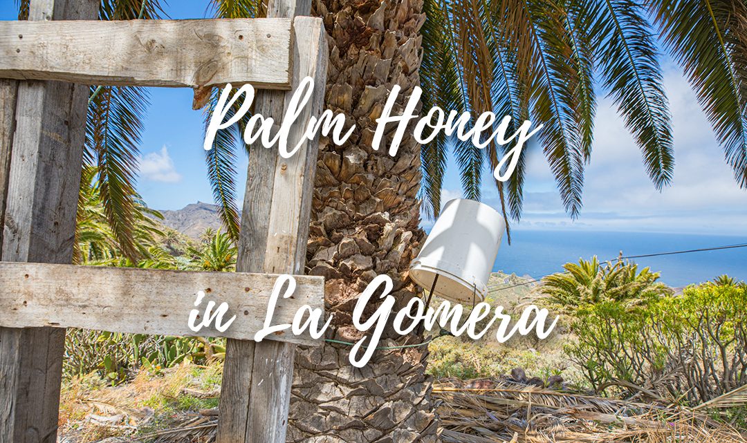 Palm Honey in La Gomera