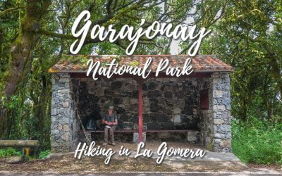 Garajonay National Park – Hiking in La Gomera