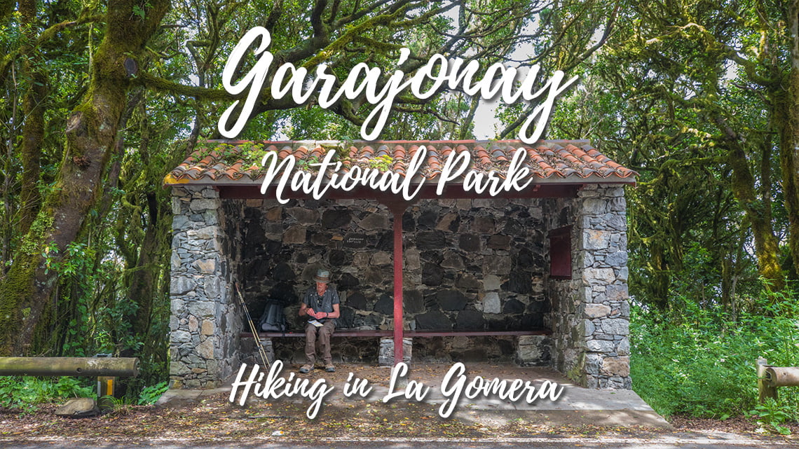 Garajonay National Park - Hiking in La Gomera