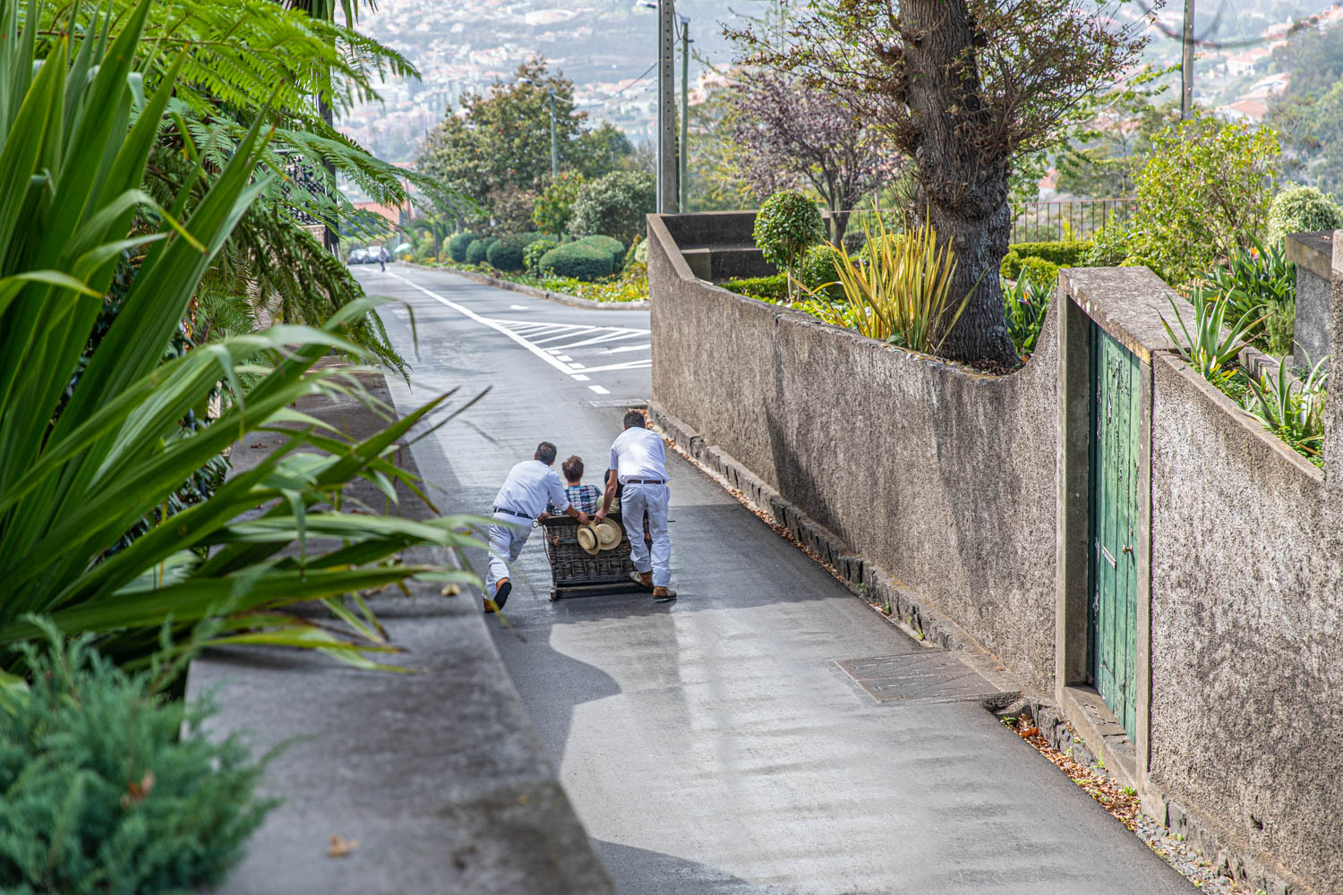 Sleigh ride in Funchal Madeira - A toboggan ride to remeber