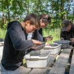 Fossil search in south Sweden, To do in Sweden