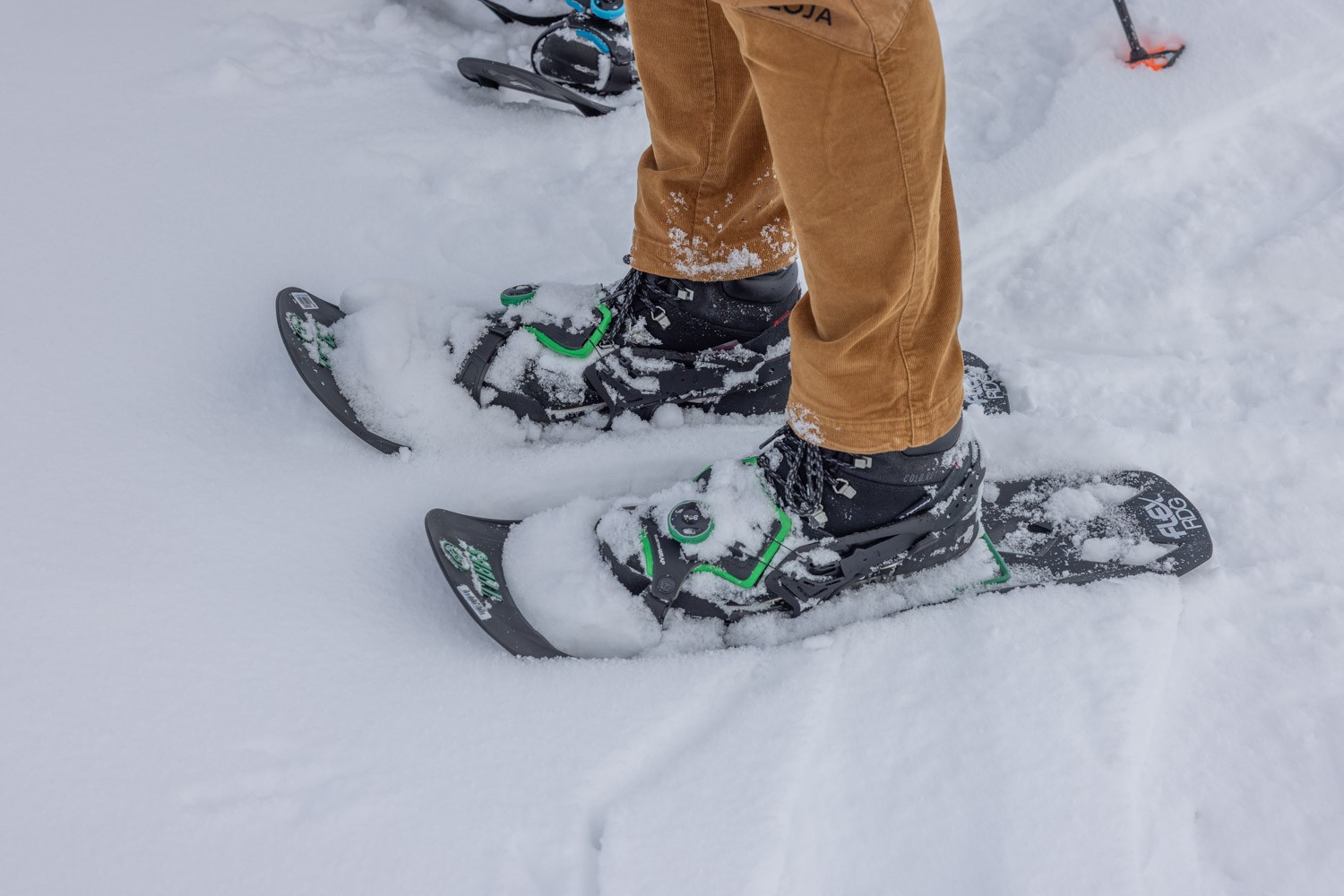 Snowshoes
