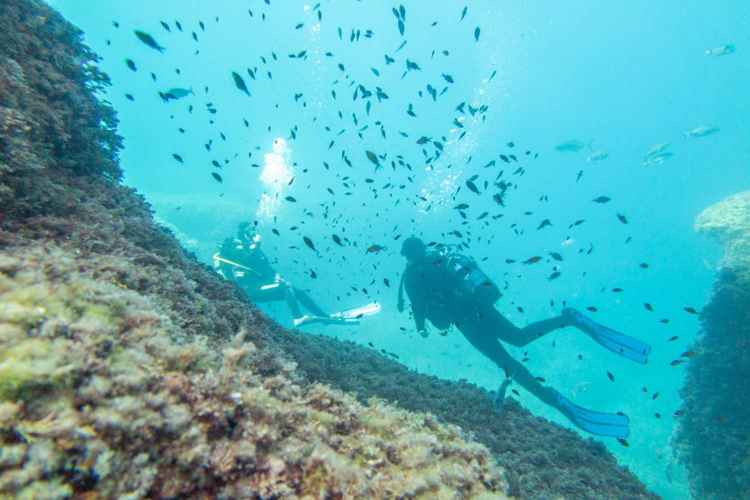 Scuba Diving in Formentera